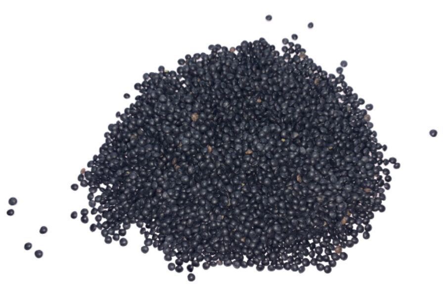 Lenteja Caviar